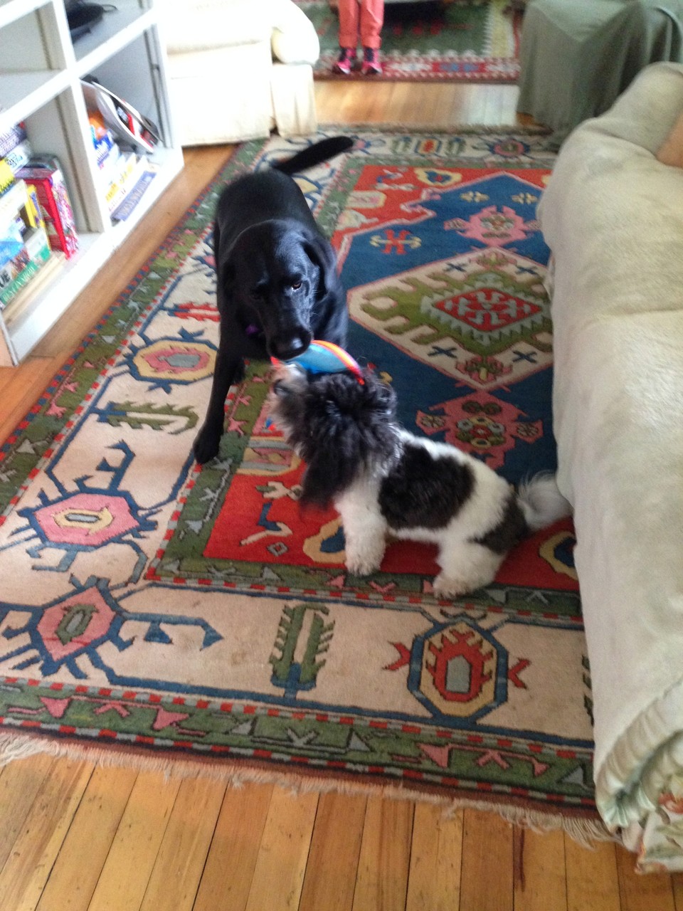 Lucy and Kipper at the lakehouse