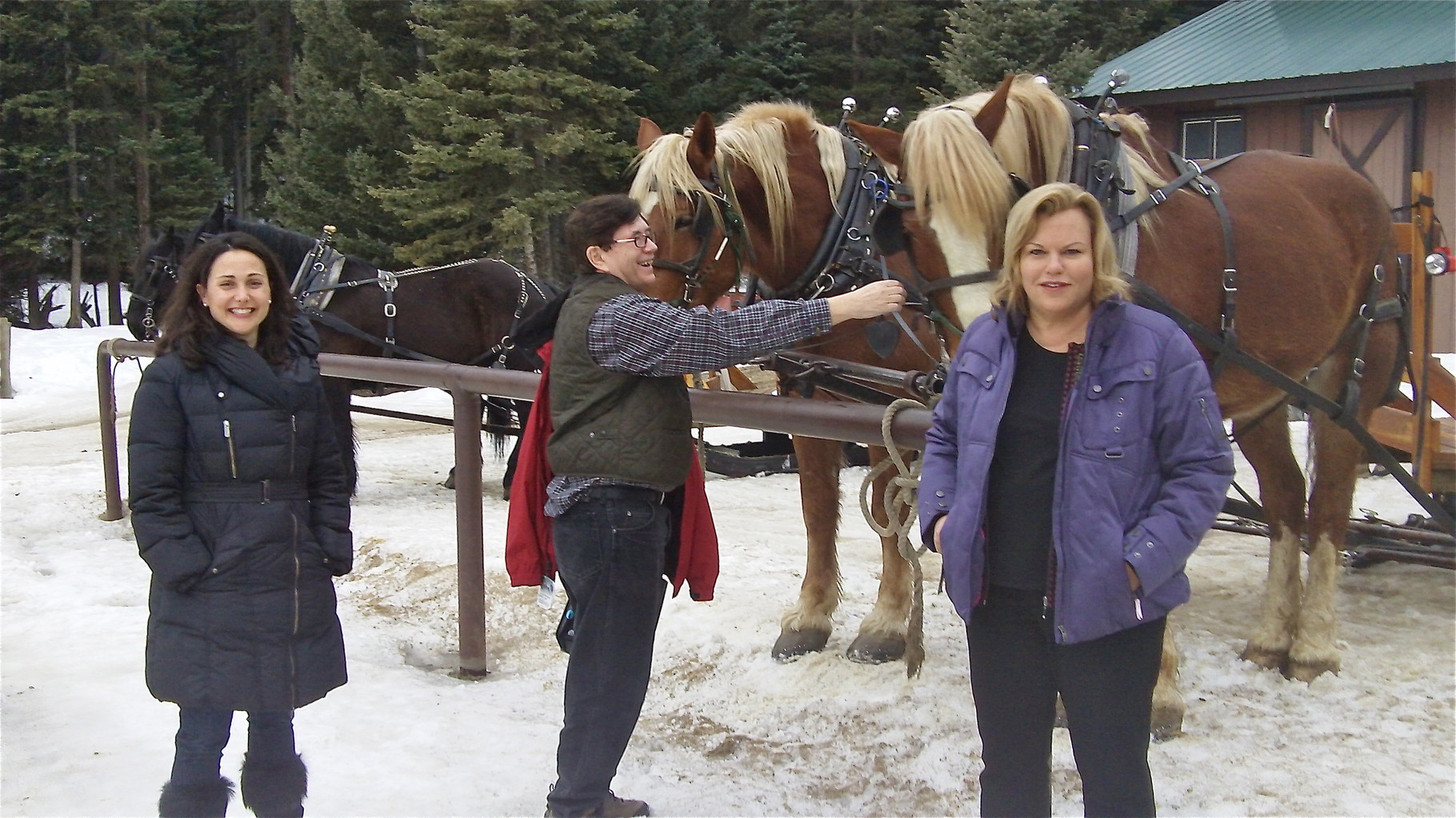 Allie Kagel, John, and Celeste in front of sleighride horses Pete and Mike!