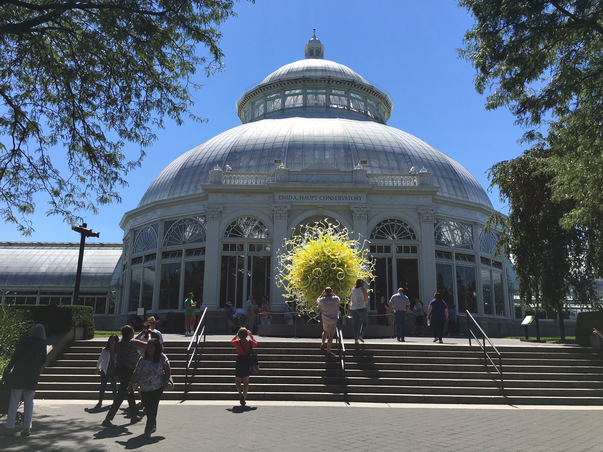 Chihuly sculptures at the NY Botanical Garden  7-30-2017