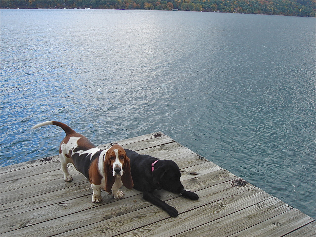 Oliver and Lucy