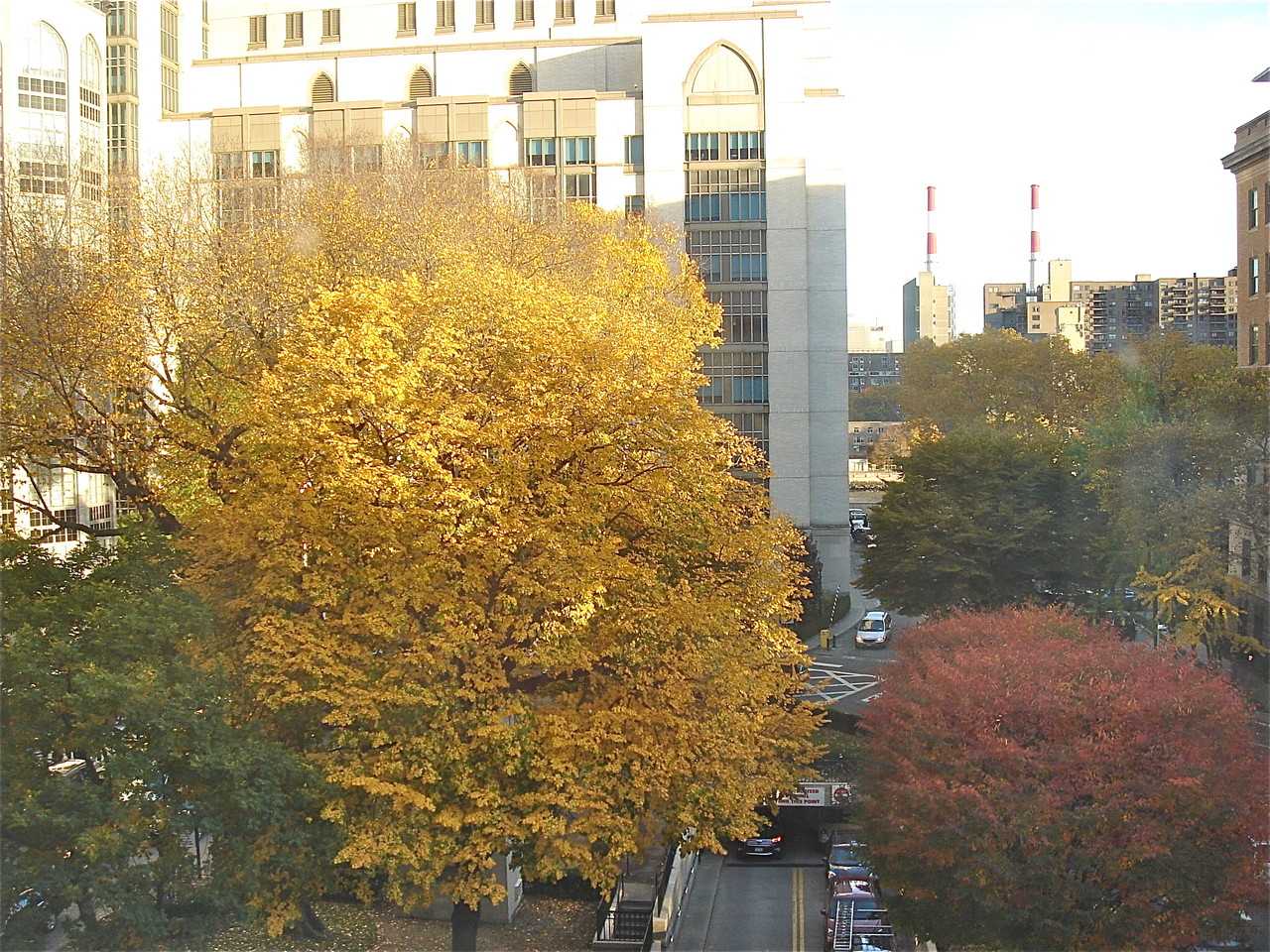 Fall scenery out my office window, looking at NY-Presbyterian Hospital