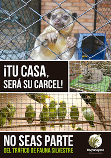 En el hotel LA CUEVA DE LA LUNA  apoyamos las campañas contra el tráfico de especies nativas.