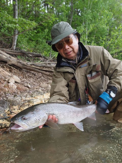 春のイトウ釣り 朱鞠内湖 フライフィッシンガイド Ito Hucho Japanese Taimen Fishing Guide Service Hokkaido Lodgeluckyfield ページ