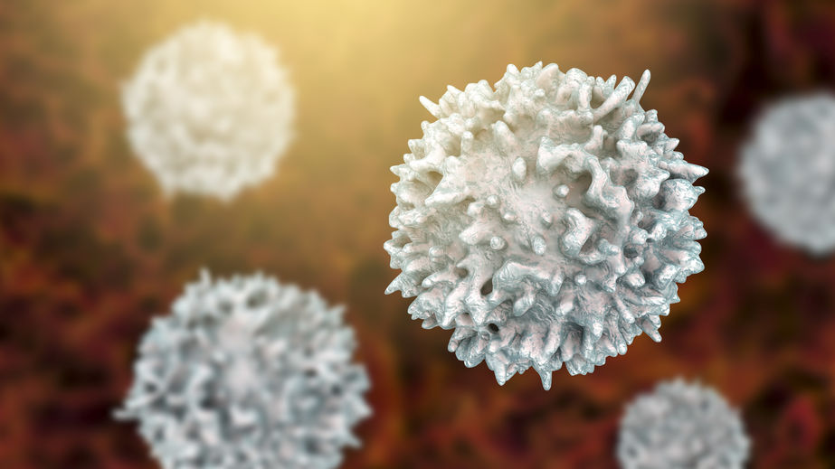 An Allergy is a Mistake Your Immune System Makes