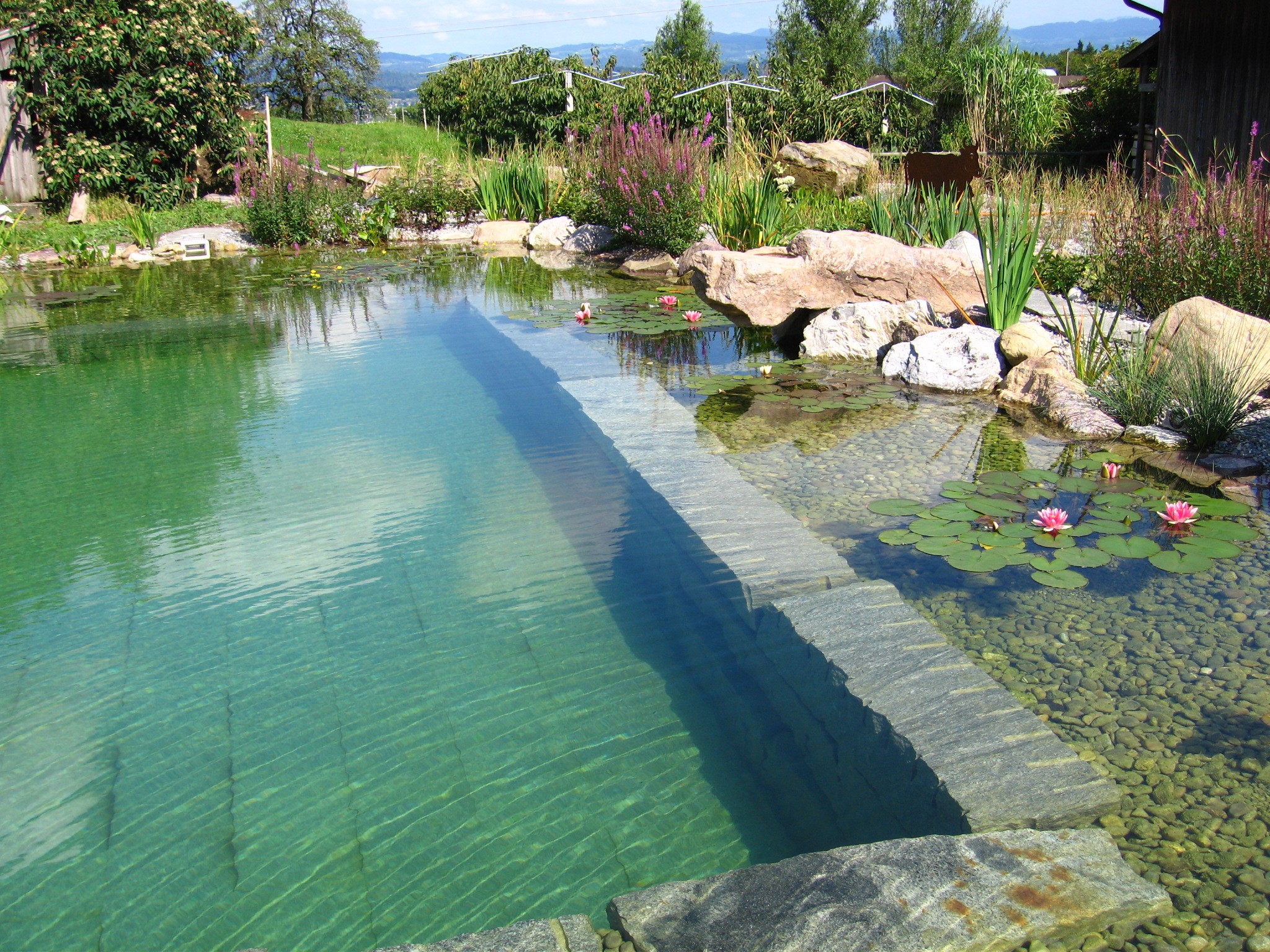 38+ Schwimmteich Selbst Bauen, Wie sie mit optimaler vorbereitung und