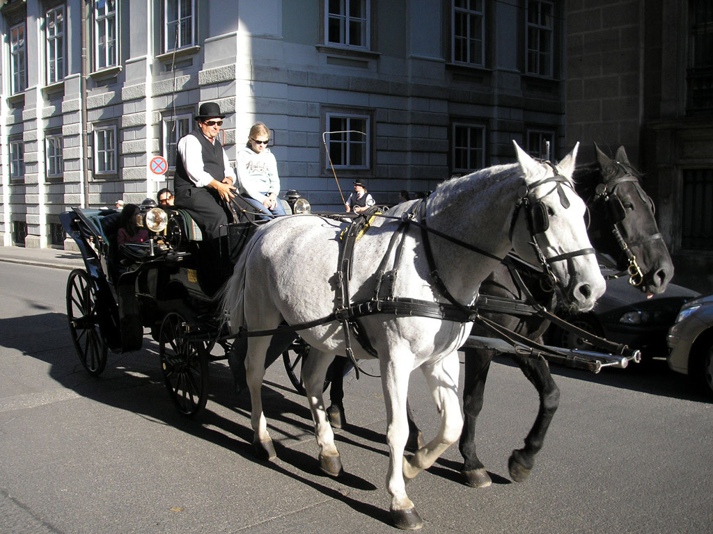 Fiaker-Rundfahrt