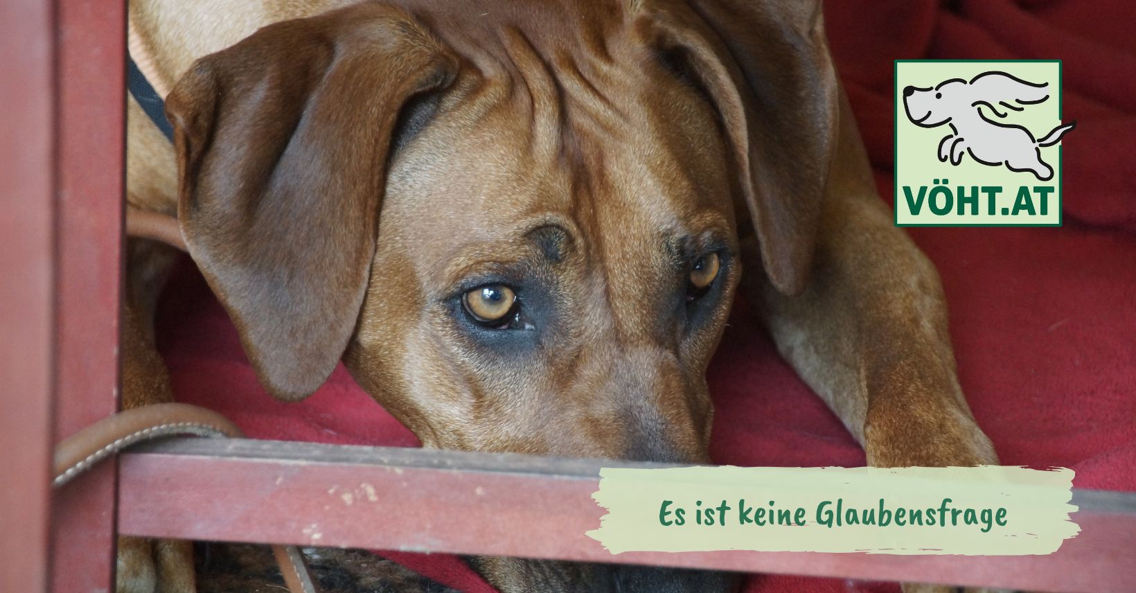 Es ist keine Glaubensfrage