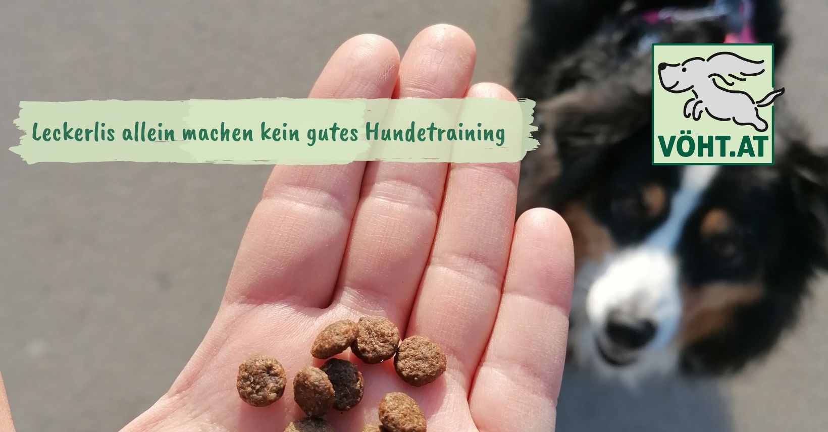 Leckerlis allein machen noch kein gutes Hundetraining