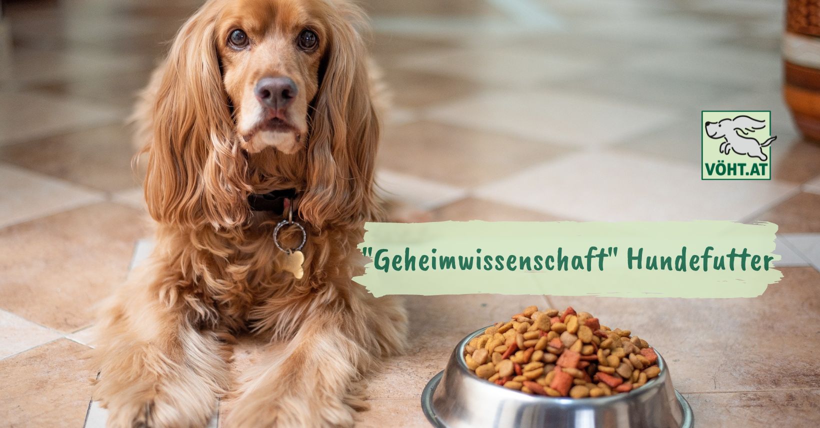 Hochwertiges Hundefutter erkennen