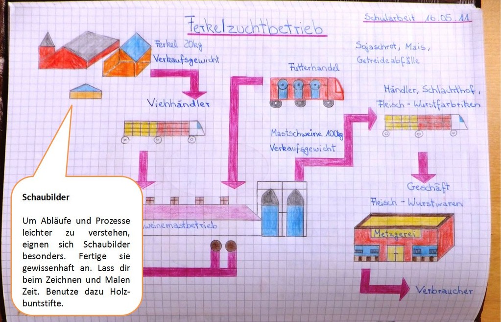Schaubilder