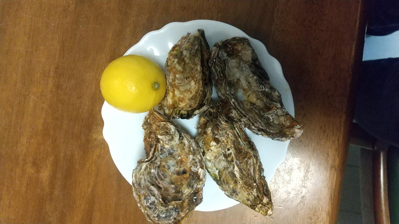 広島産殻付き牡蠣と日本酒
