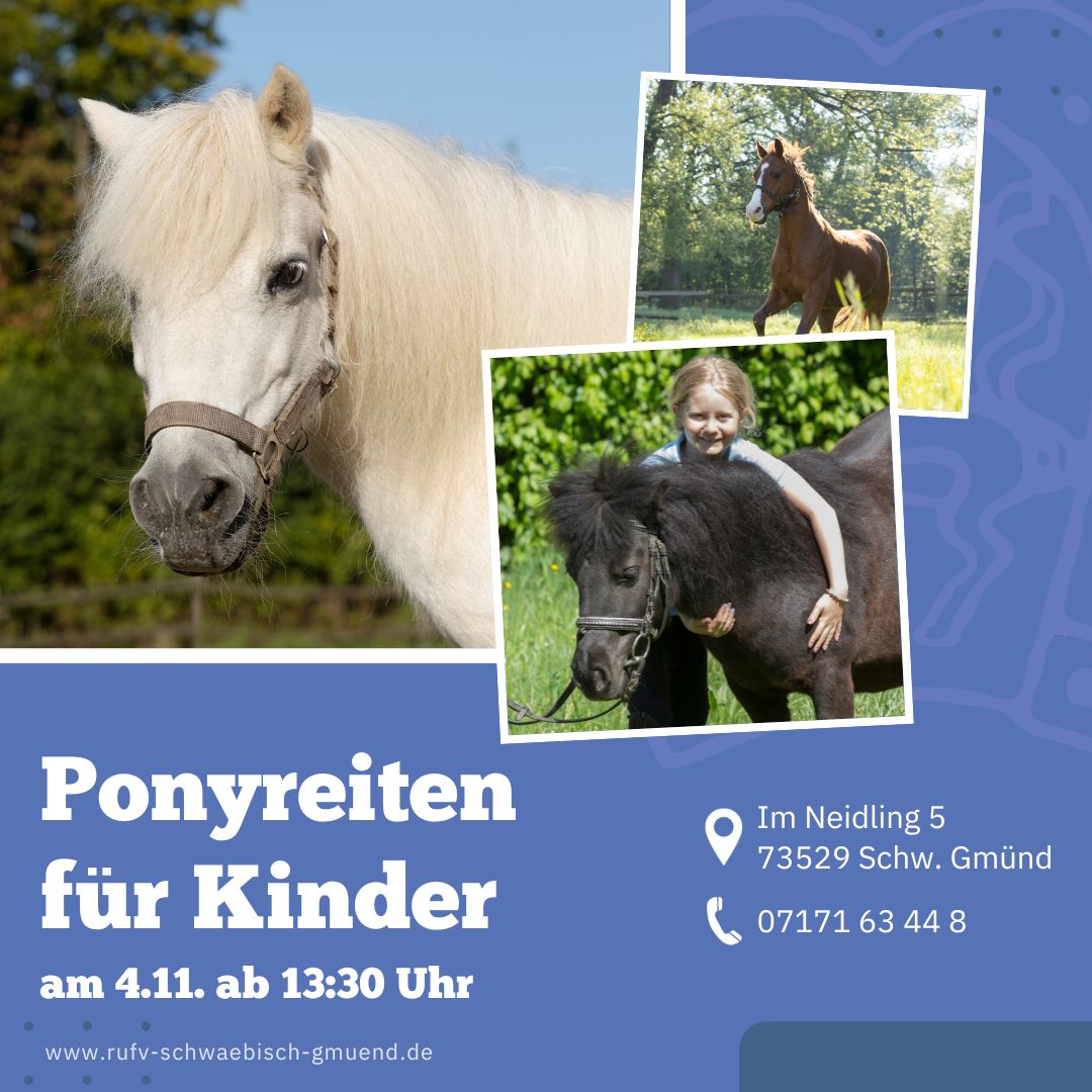 Ponyreiten im Reitverein