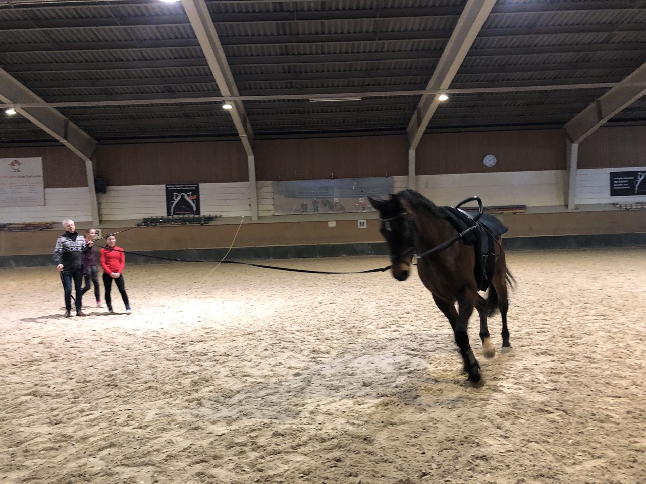 Teamtraining auf Alice mit Wolfgang Renz