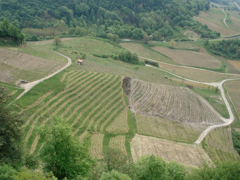 Audit de vignoble et étude d'hydraulique