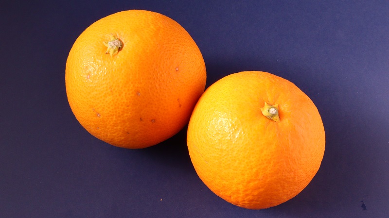 T114 ふたつのオレンジ 5点 食べ物関連 無料画像 Qreon素材ノート