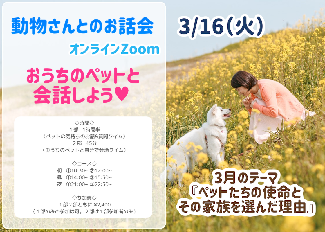 動物さんとのお話会 Angelapin アンジェラパン