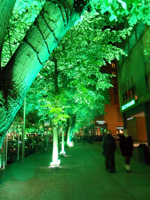 Festival of lights - Berlin 2011 - Light-Ship + Bus Tour (Mit den Augen eines Sehbehinderten)