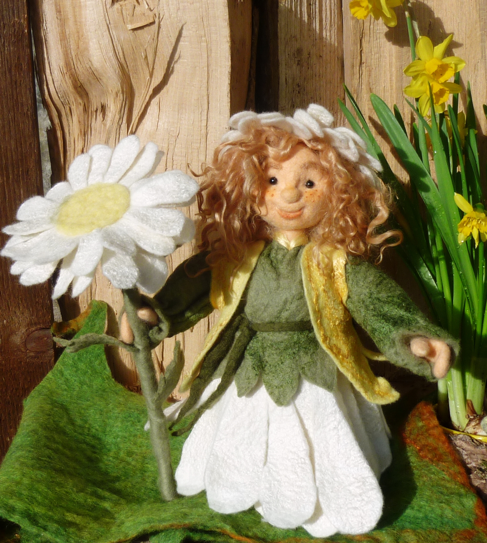 Blütenfraueli Margerite