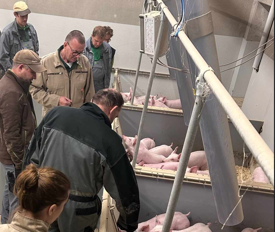Lack of available drinking water in pigs is one of the biggest bottlenecks in pig farming