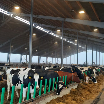 IT'S AUTUMN, IS YOUR BARN LIGHTING READY FOR BOTH AUTUMN AND WINTER?
