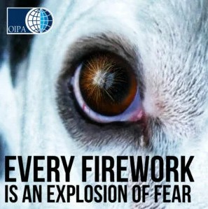 FARM ANIMALS AND FIREWORKS