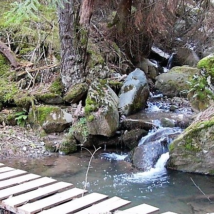 Camí de la Ribera d'Alp