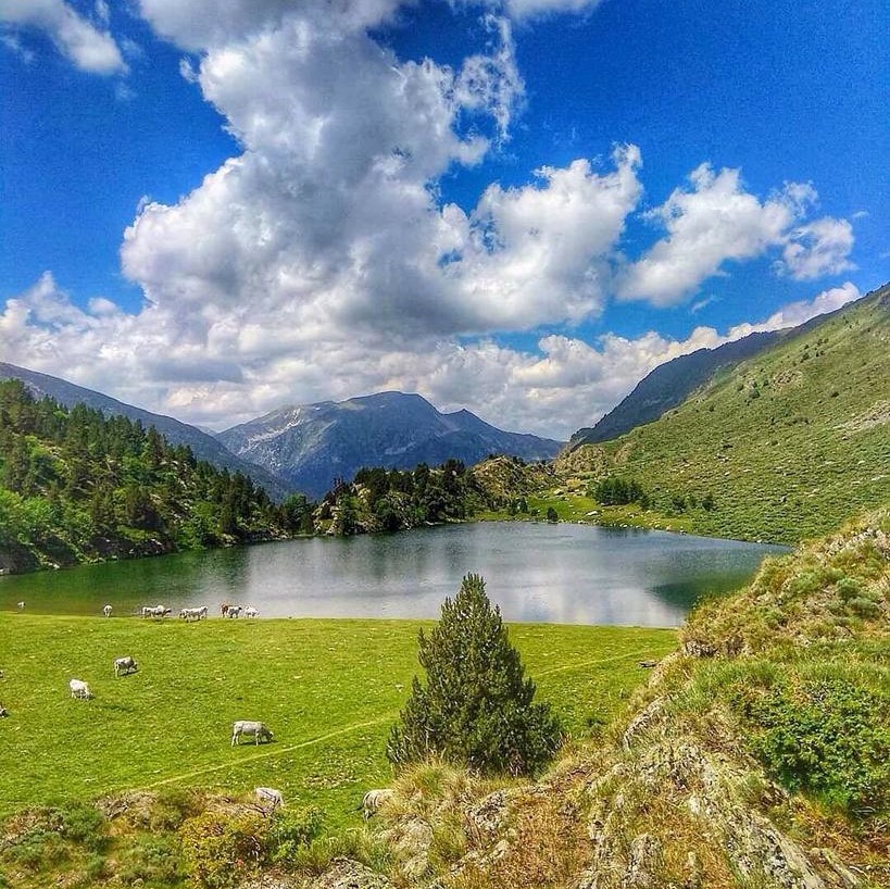 Estany de Font Viva