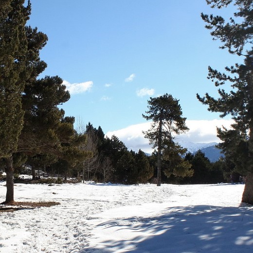 Font Romeu