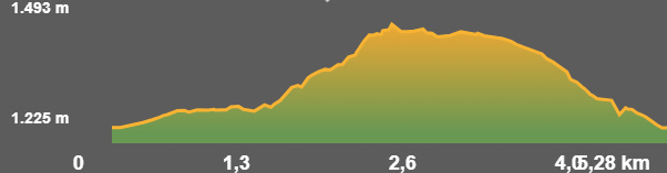 Perfil ruta senderisme TC196 Alp - Roca castellana