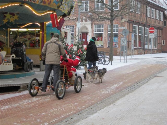 Schlittenfahrt im Husky-Hundeschlitten!