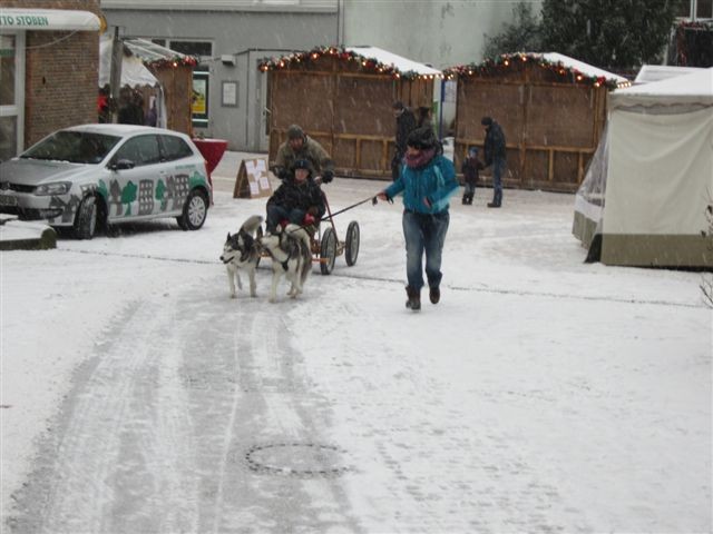 Schlittenfahrt im Husky-Hundeschlitten!