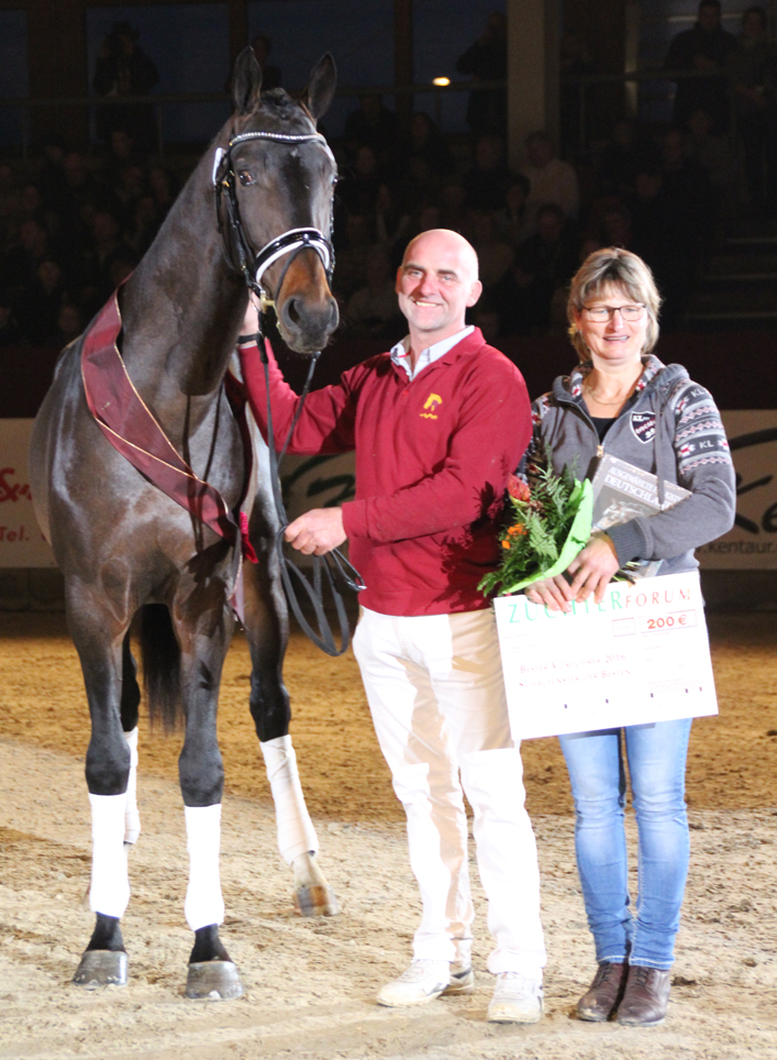 DSPKörung Neustadt (Dosse) BeaMonVerlag/Pferde im Osten