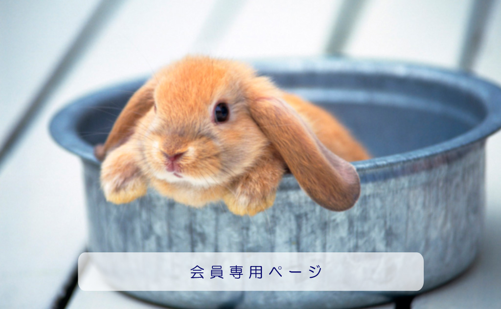 日本アニマルヒーリング協会　会員専用ページ