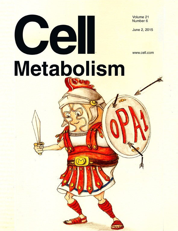 Copertina per Cell Metabolism (giugno 2015)