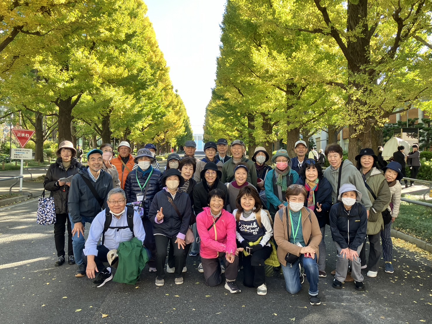 【保健活動推進員】11月のウォーキング