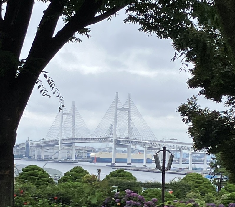 【保健活動推進員】６月のウォーキング