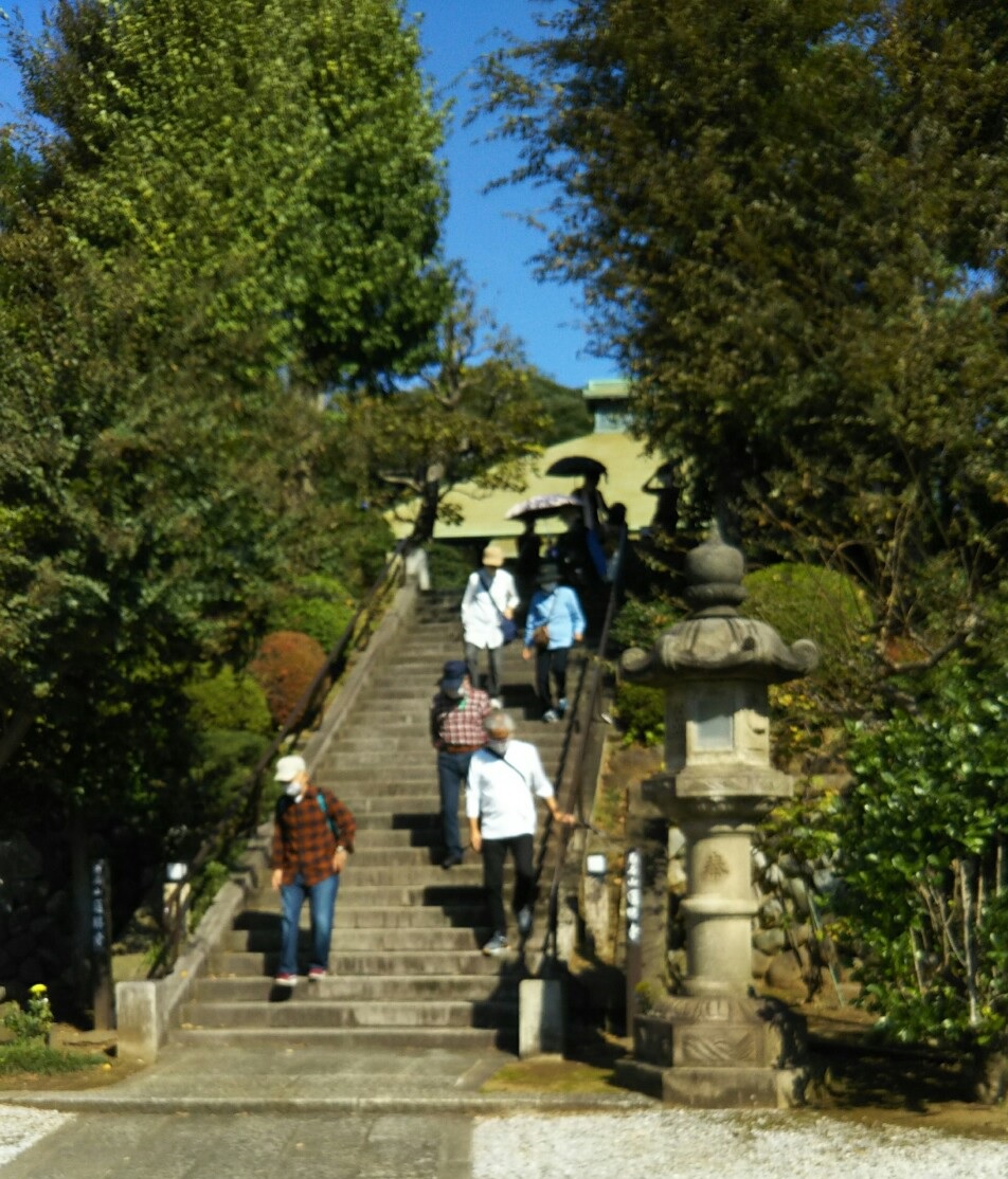 連勝寺のお参りを終え階段を下りて、菊名桜山公園へ向かいます。