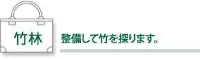 竹林　整備して竹を探ります