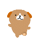 わんわんスベラン　ワックス塗布前