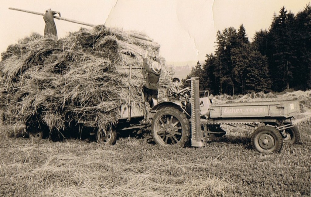 Getreideernte am Lodischhof