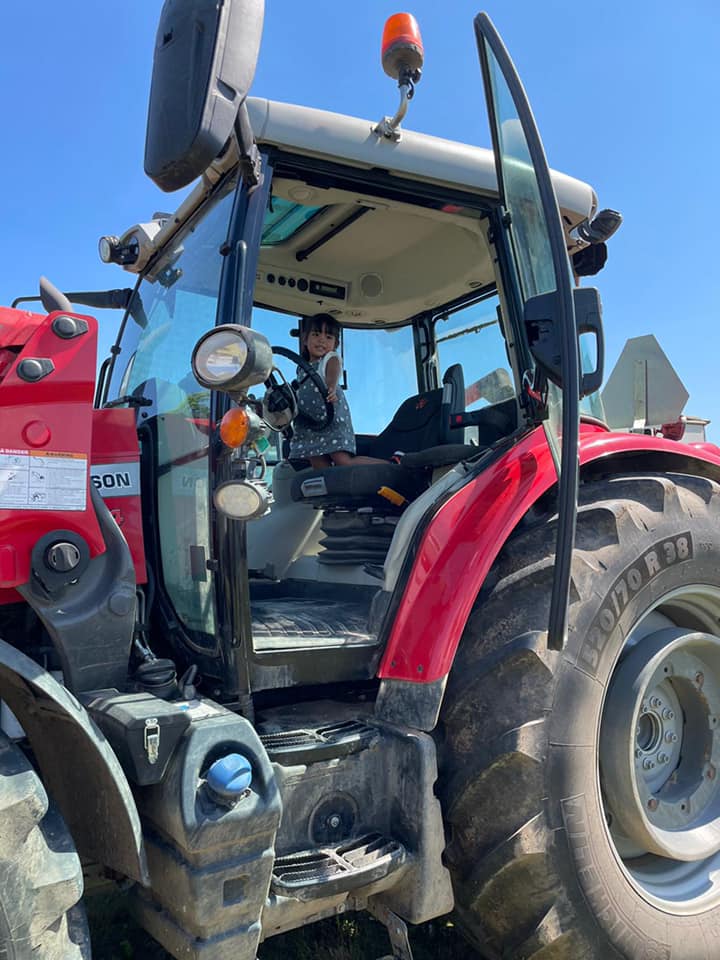 Pictures in the Big Red Tractors