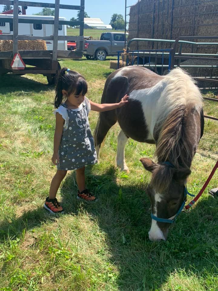 Petting our little friend Romeo the Pony