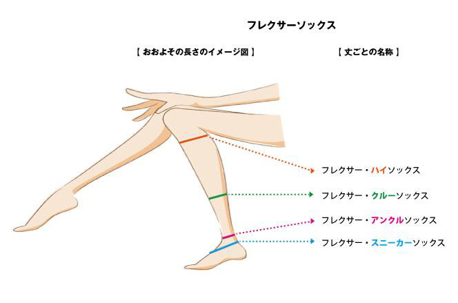 さとう式フレクサーアイテム - 直 整体院 さとう式フレクサーアイテム - 直 整体院