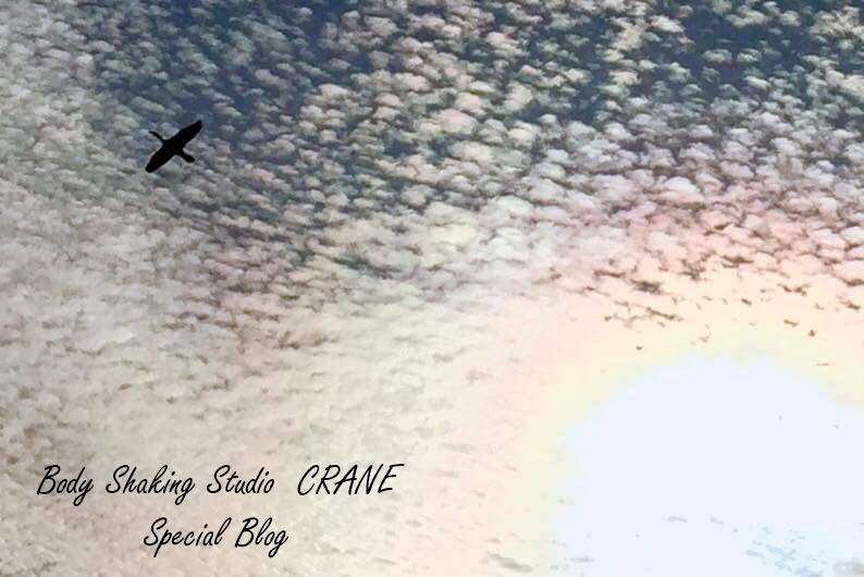 クレインの施術効果を数値化？！