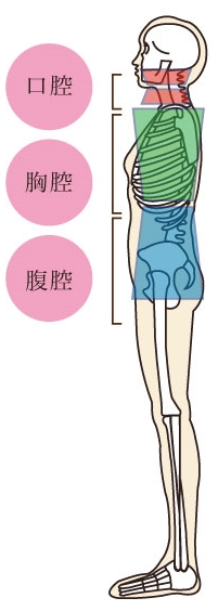 私たちは立ってるから「人」なんですね！