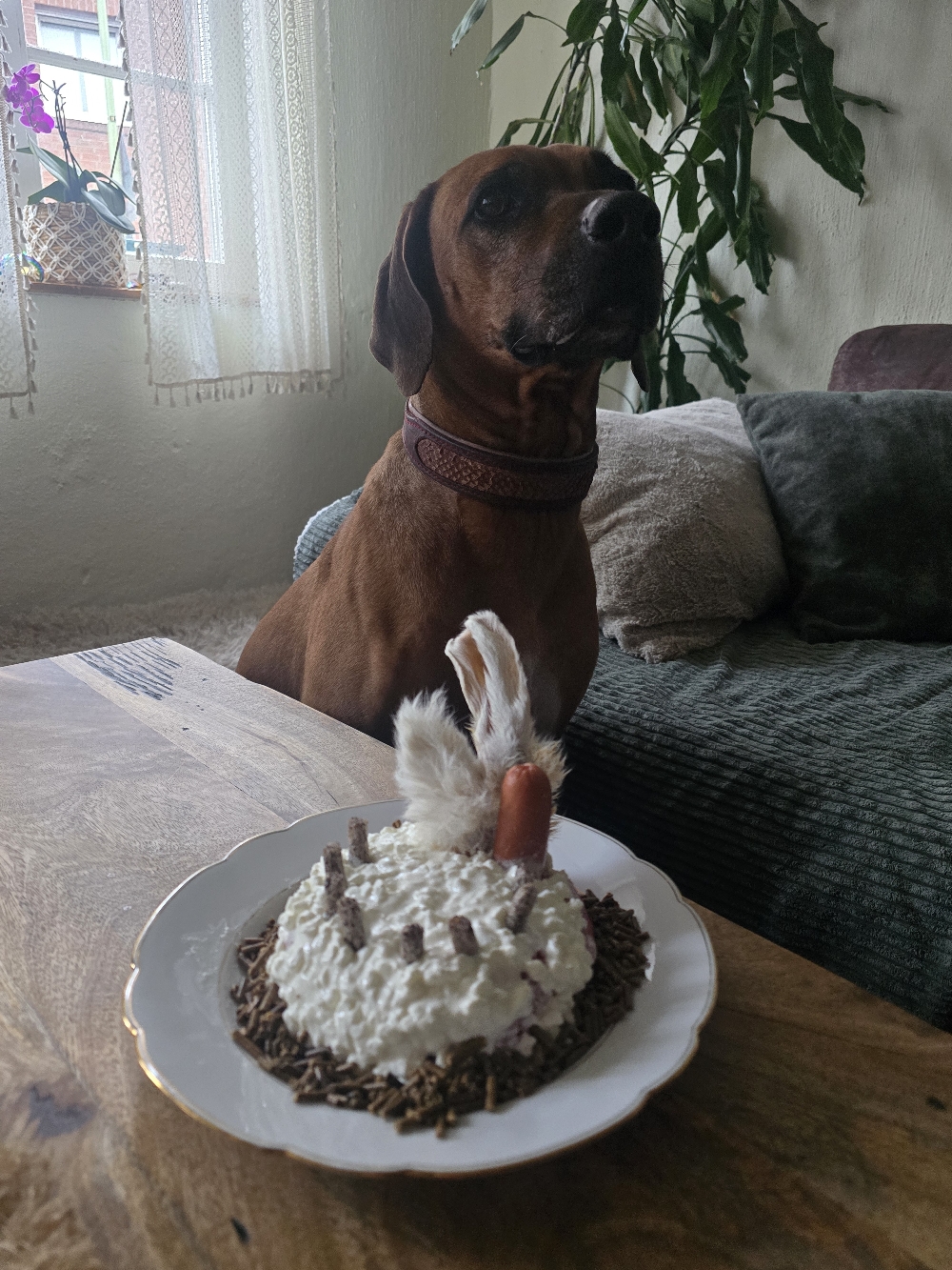 8 Jahre🥰