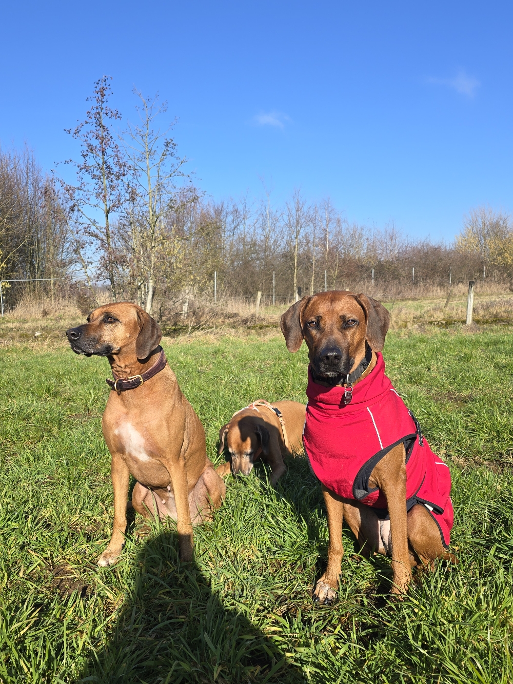 Carla mit Mama und Schwester Stella❤️
