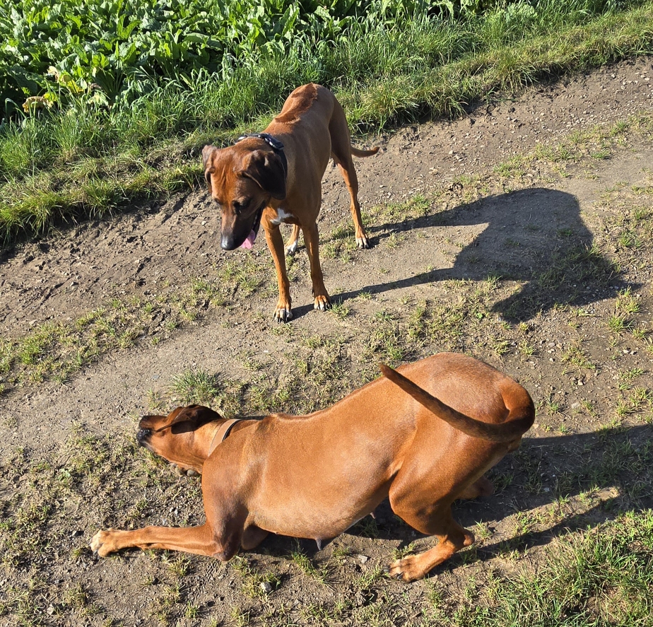Carla mit Schwester Dana ❤️