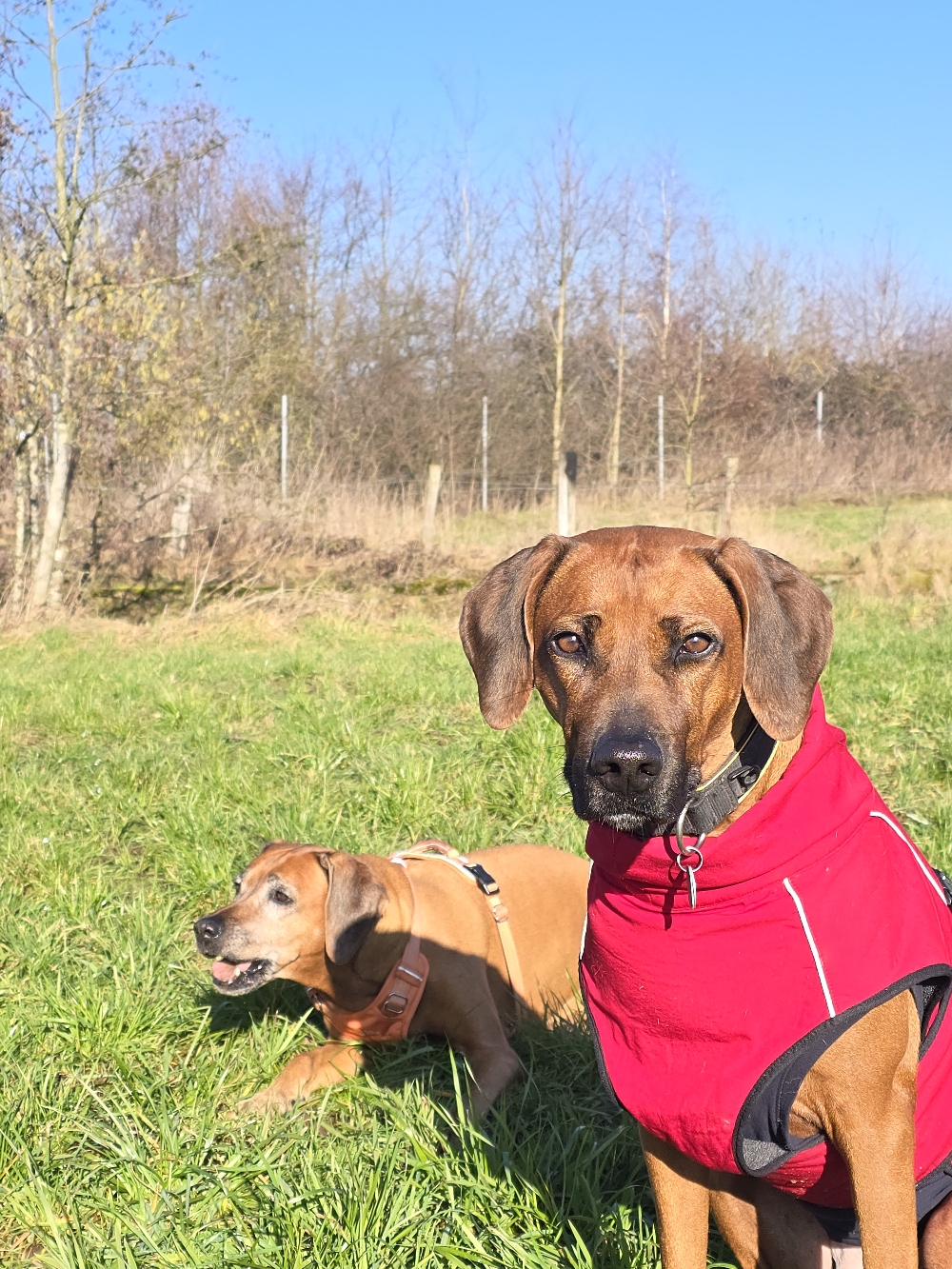Carla 8 Jahre❤️
