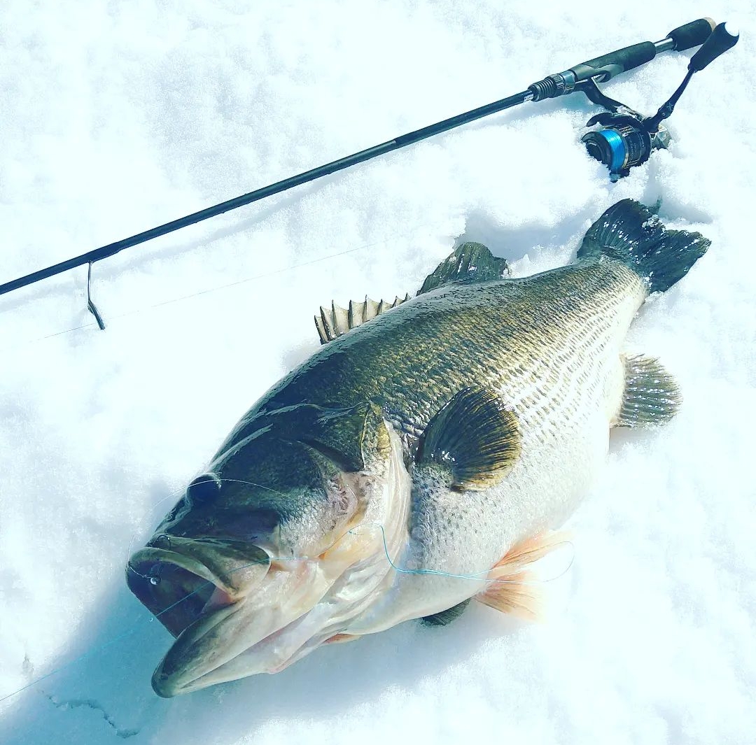 GAN CRAFT [HIGH POTENTIAL ORIGINAL LURES]